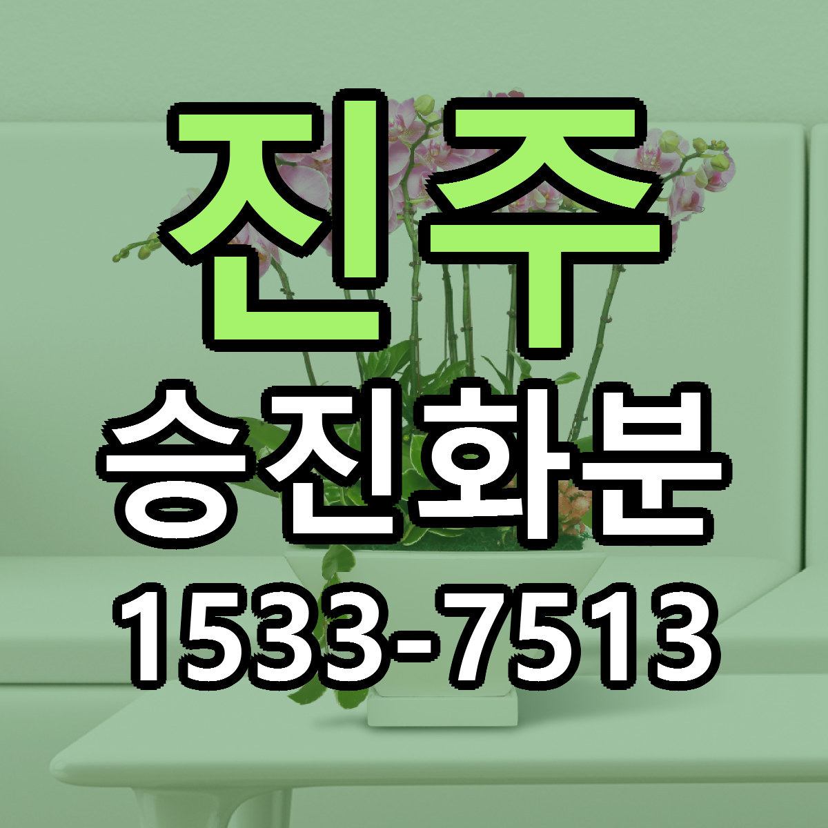 진주 승진화분 빠른배송 리본문구 가격 알뜰 비교