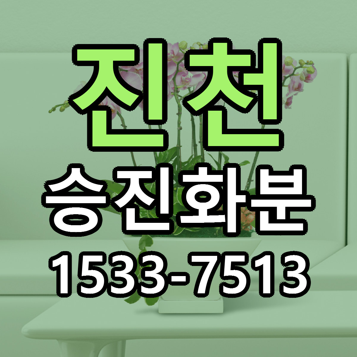 진천 승진화분 가격 만족 저렴한곳 리본문구 작성