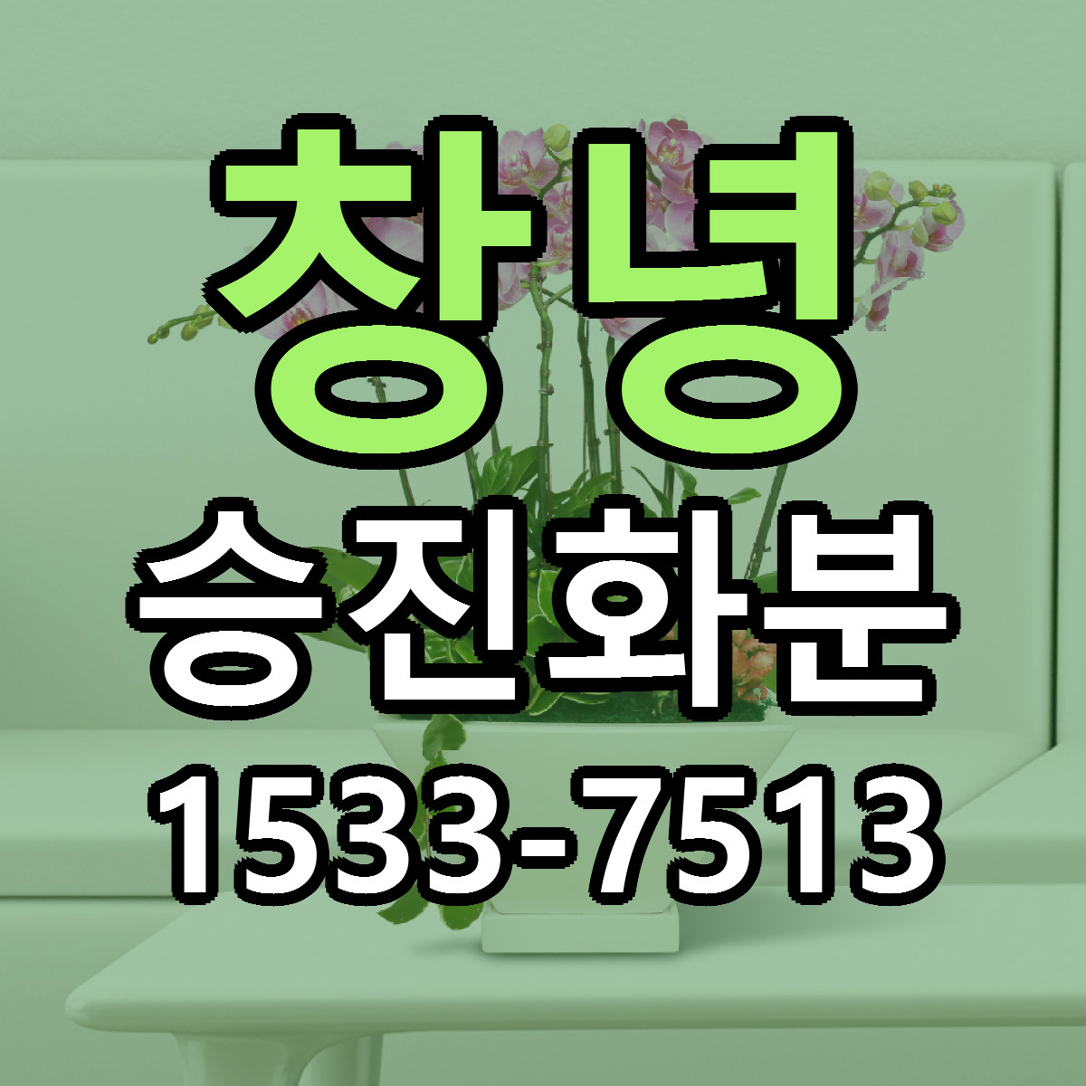 창녕 승진화분 리본문구 싼곳 빠른배송 예약
