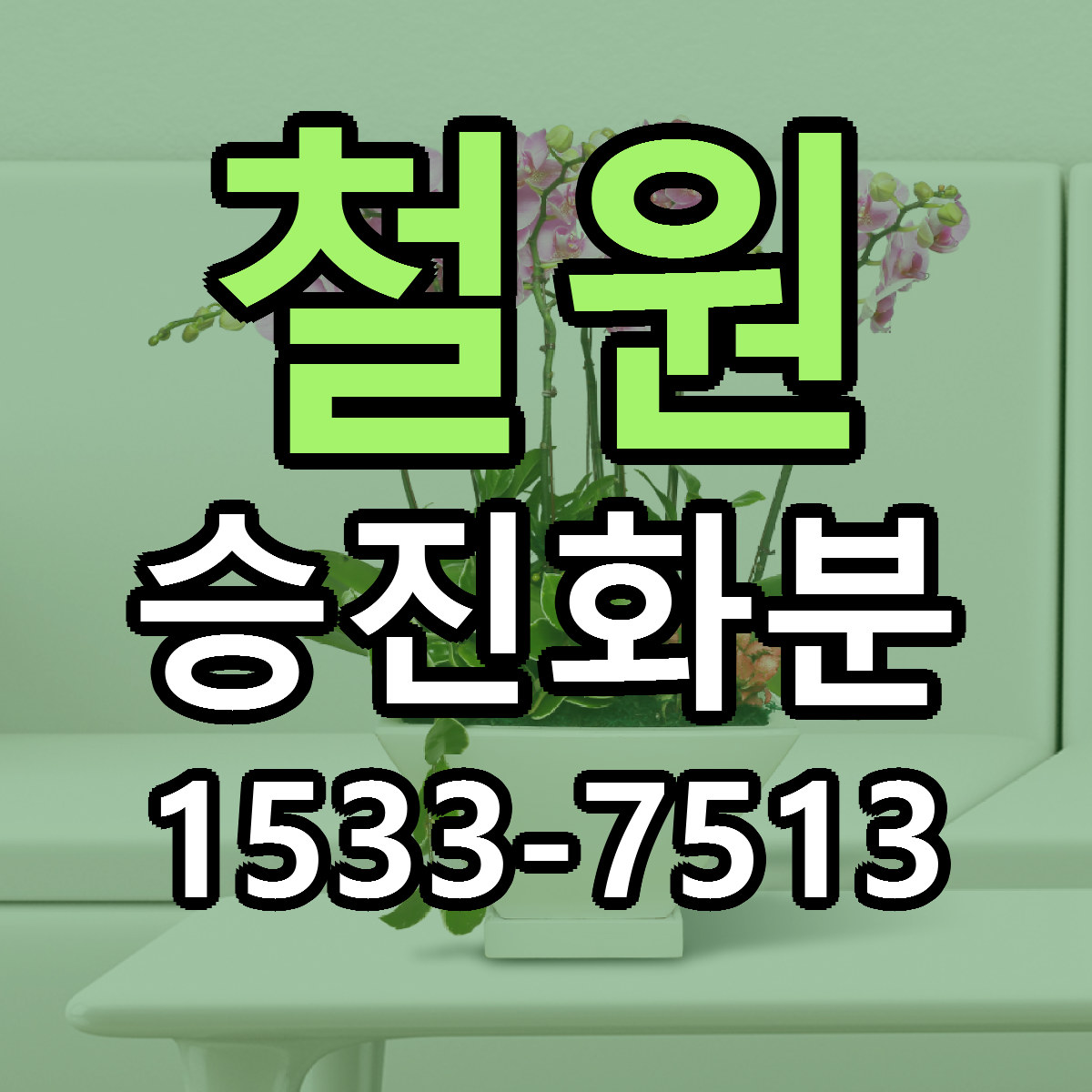 철원 승진화분 빠른배송 저렴한곳 가격 정리