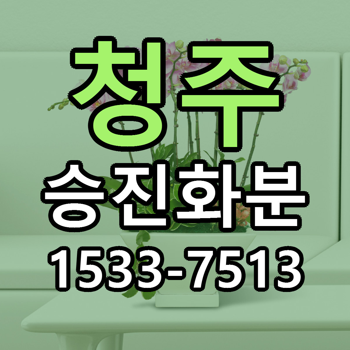 청주 승진화분 당일배송 리본문구 싼곳 찾기