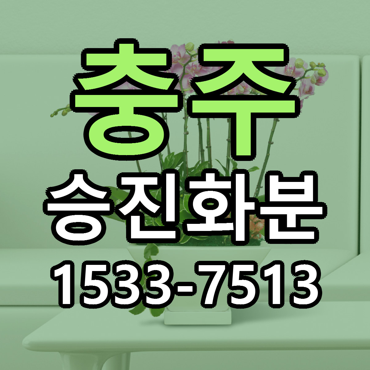 충주 승진화분 가격 착한 싼곳 당일배송 안내