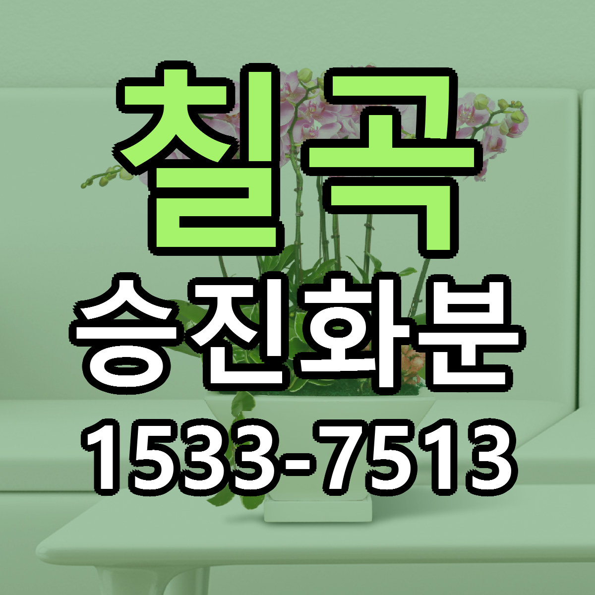 칠곡 승진화분 당일배송 리본문구 빠른배송 서비스
