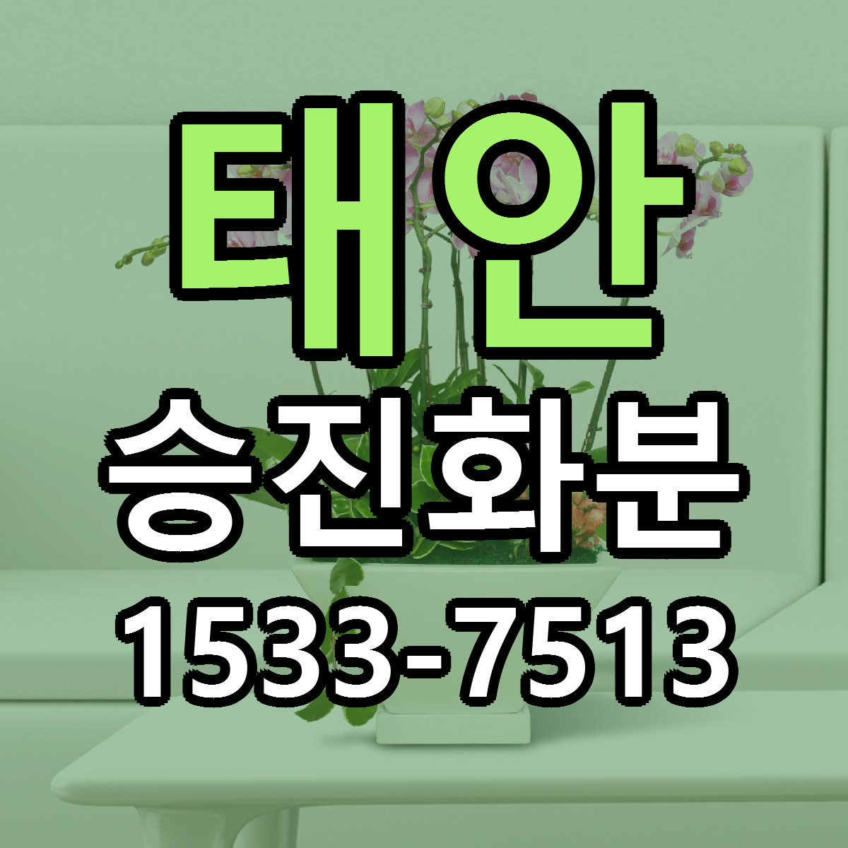태안 승진화분 리본문구 서비스 저렴한곳 빠른배송