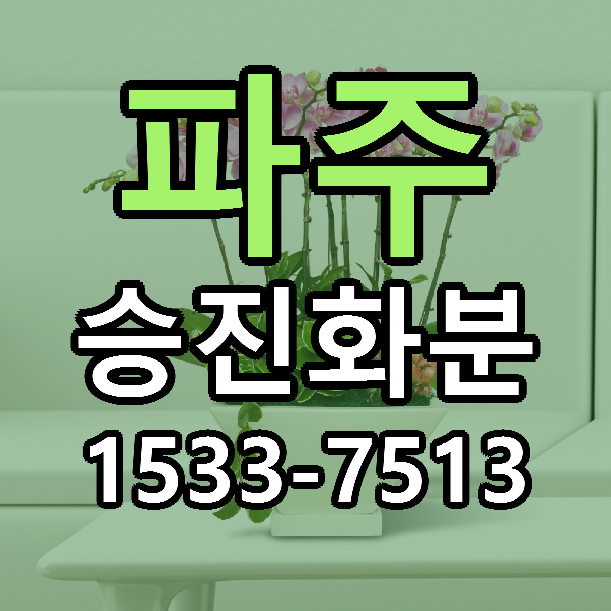 파주 승진화분 리본문구 싼곳 빠른배송 예약