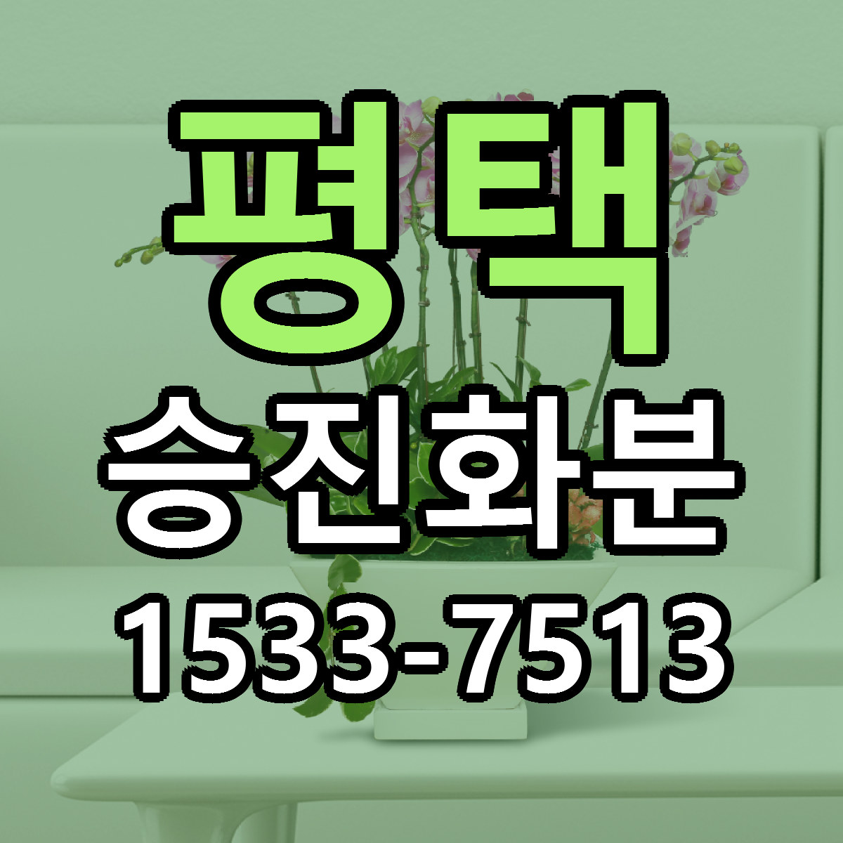 평택 승진화분 근처꽃집 빠른배송 가격 문의