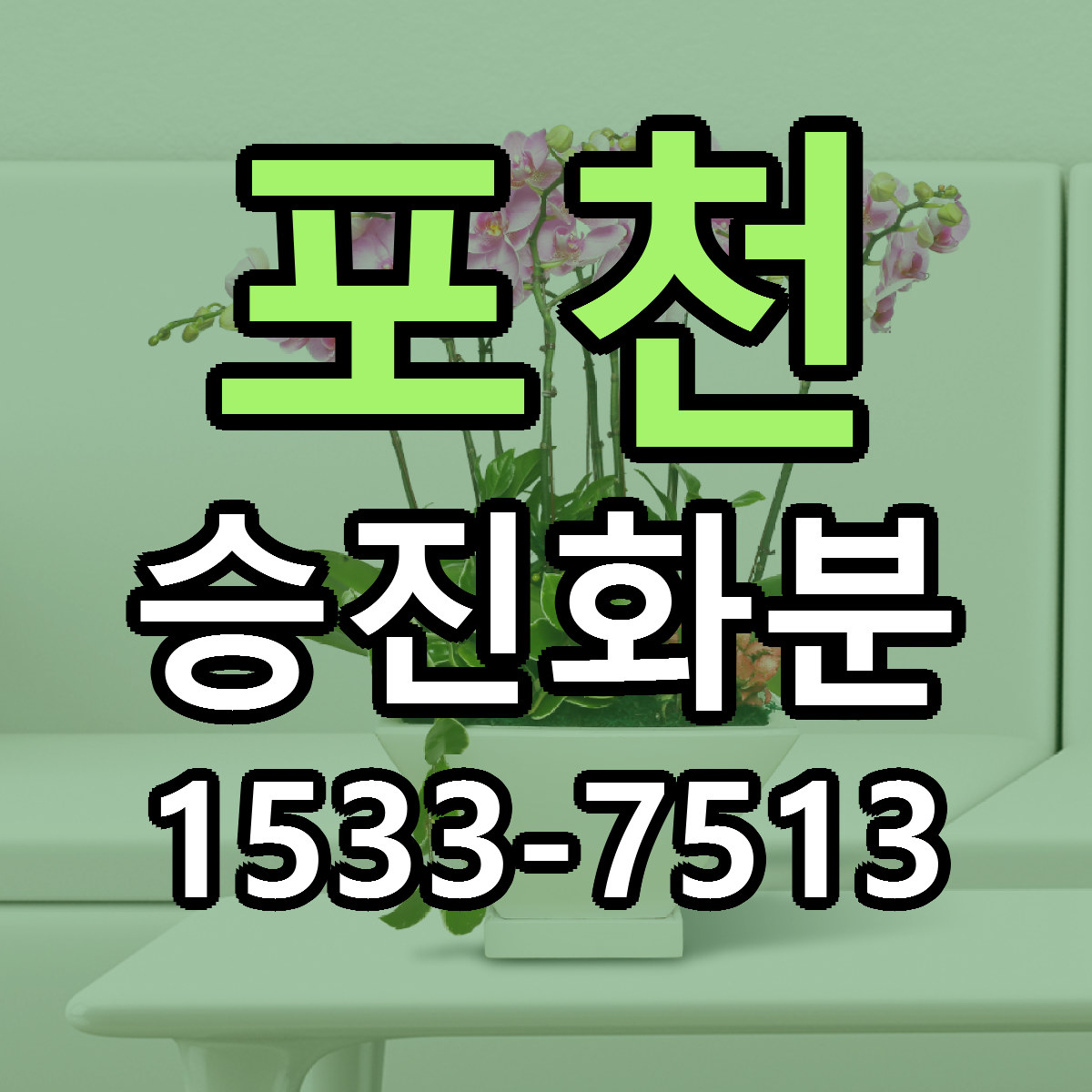 포천 승진화분 빠른배송 리본문구 가격 알뜰 비교