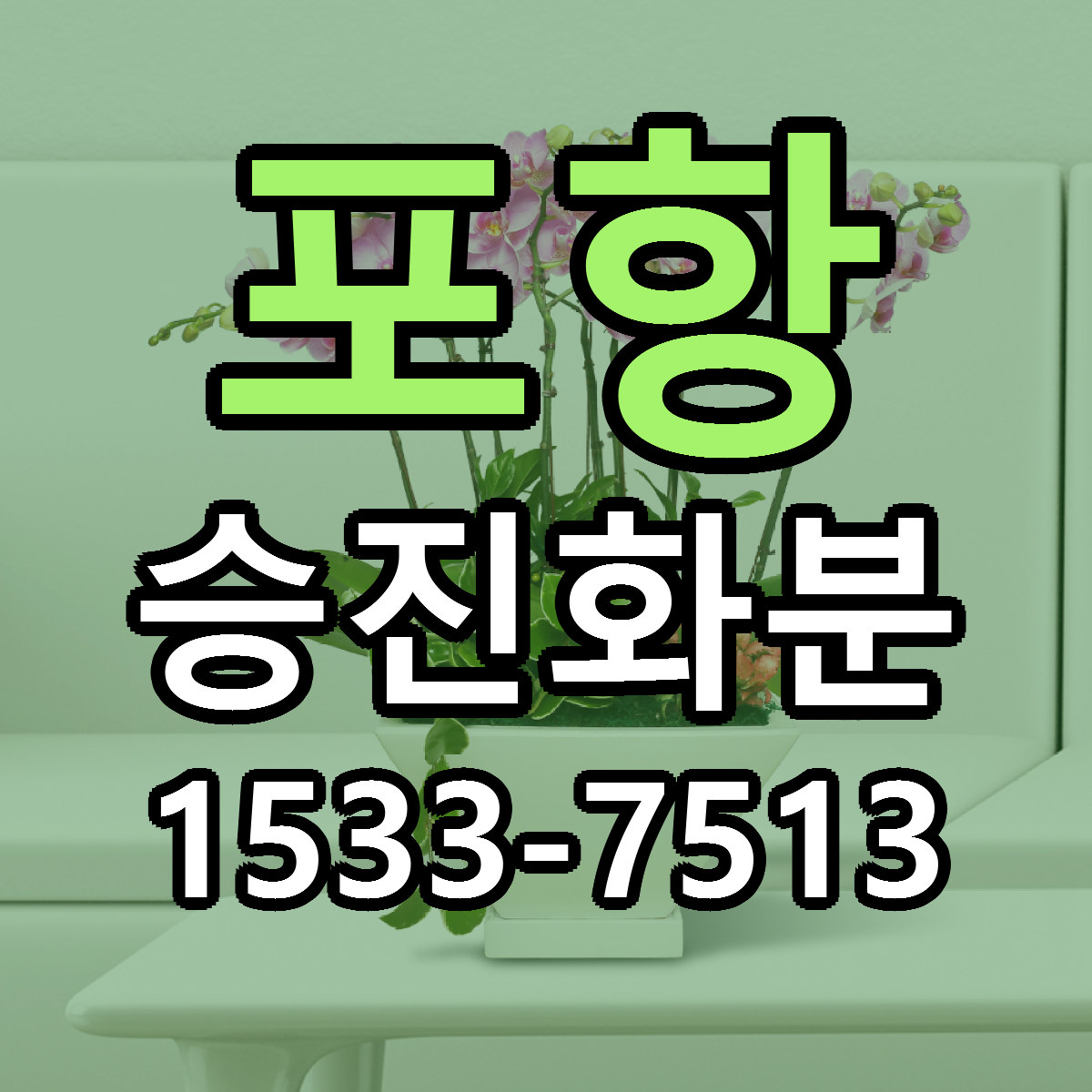 포항 승진화분 근처꽃집 당일배송 리본문구 서비스