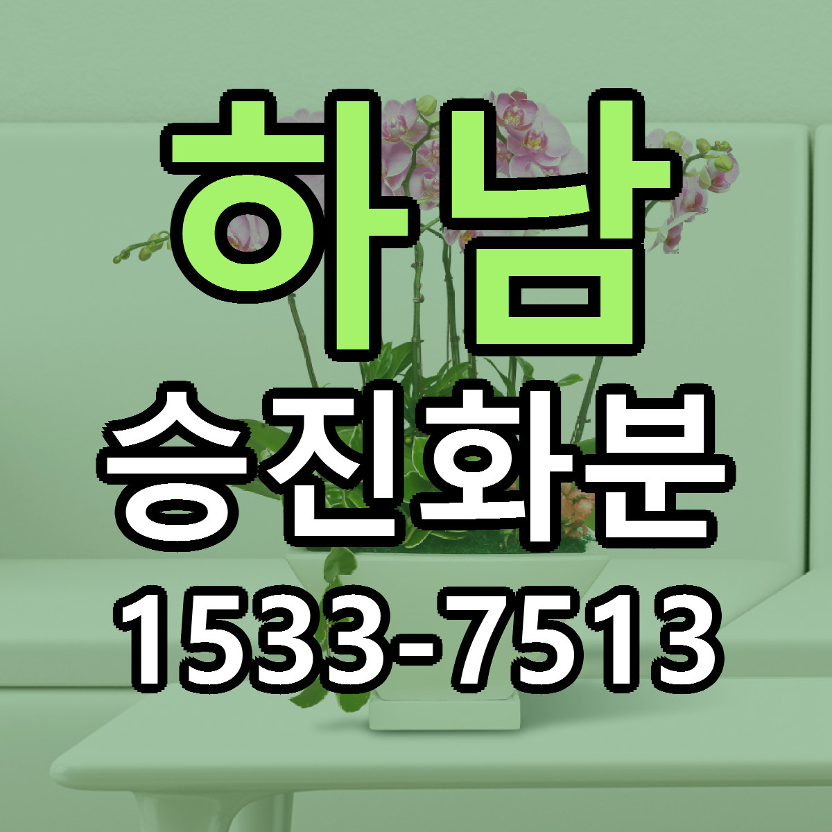 하남 승진화분 빠른배송 근처꽃집 가격 비교