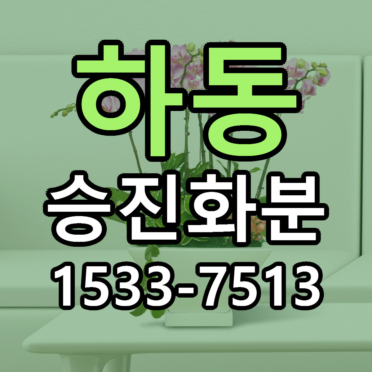 하동 승진화분 저렴한곳 당일배송 가격 만족