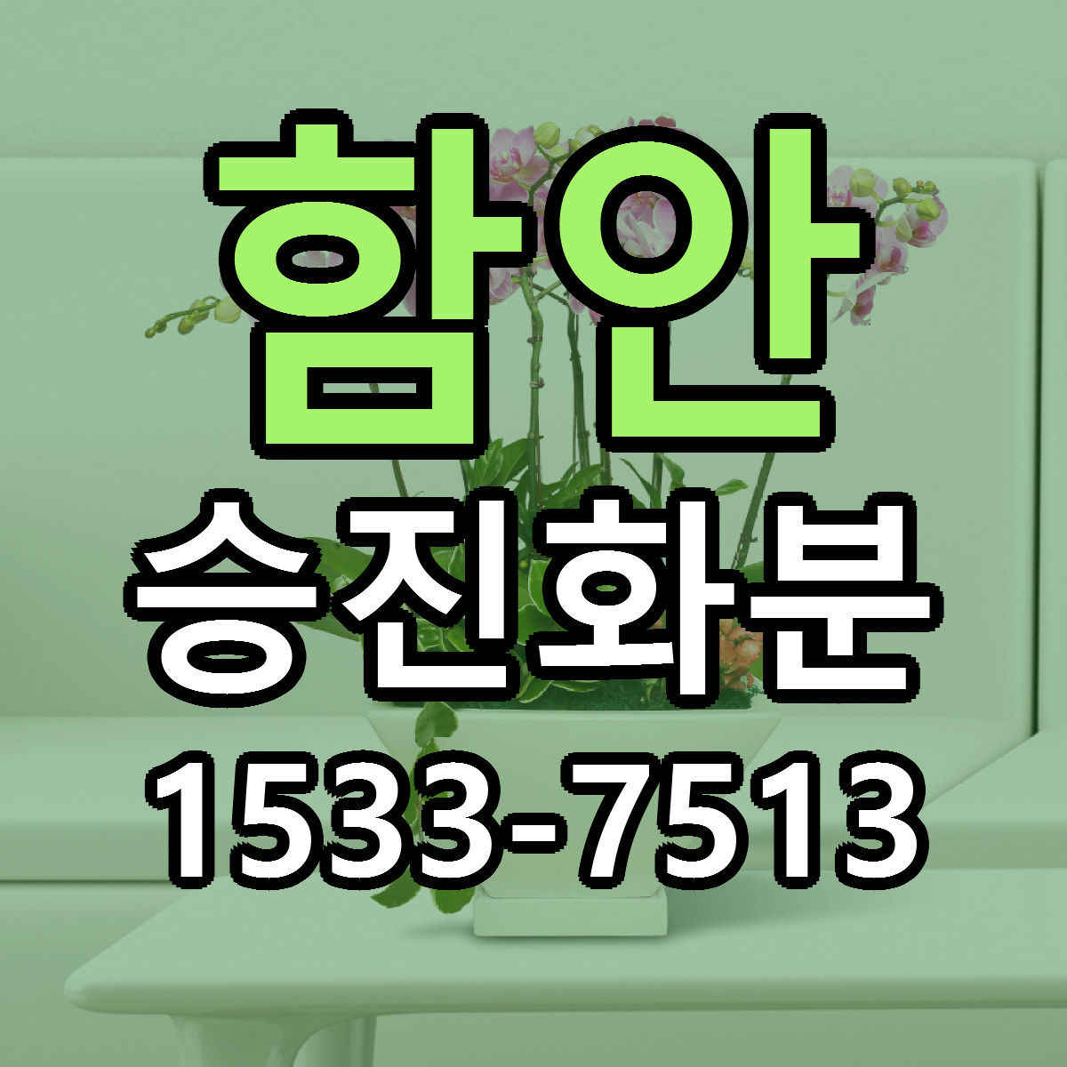 함안 승진화분 빠른배송 근처꽃집 가격 비교
