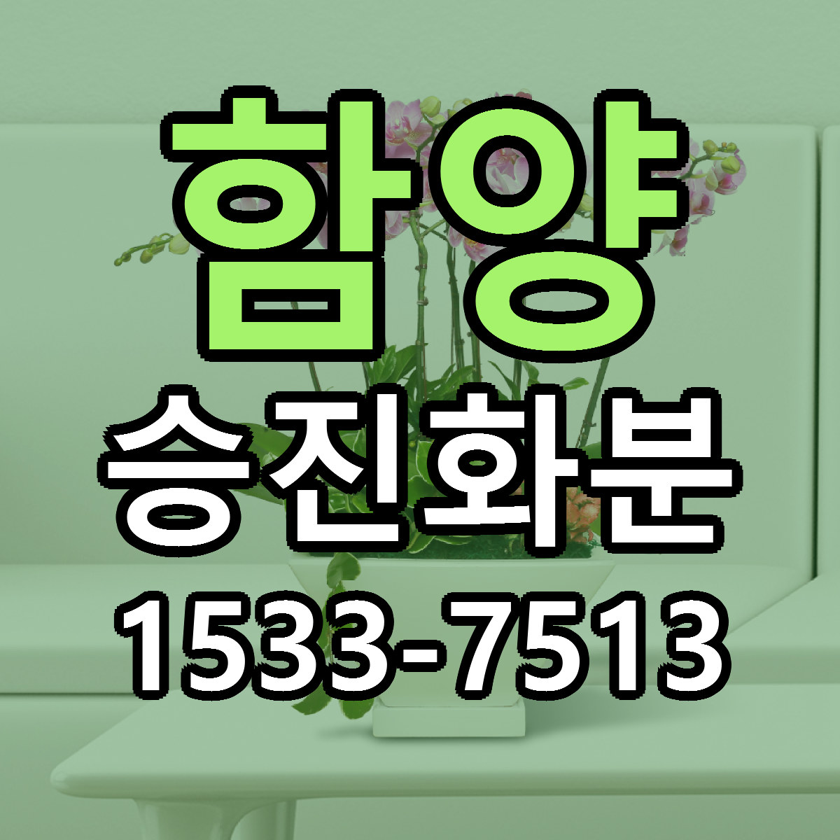 함양 승진화분 가격 착한 싼곳 당일배송 안내