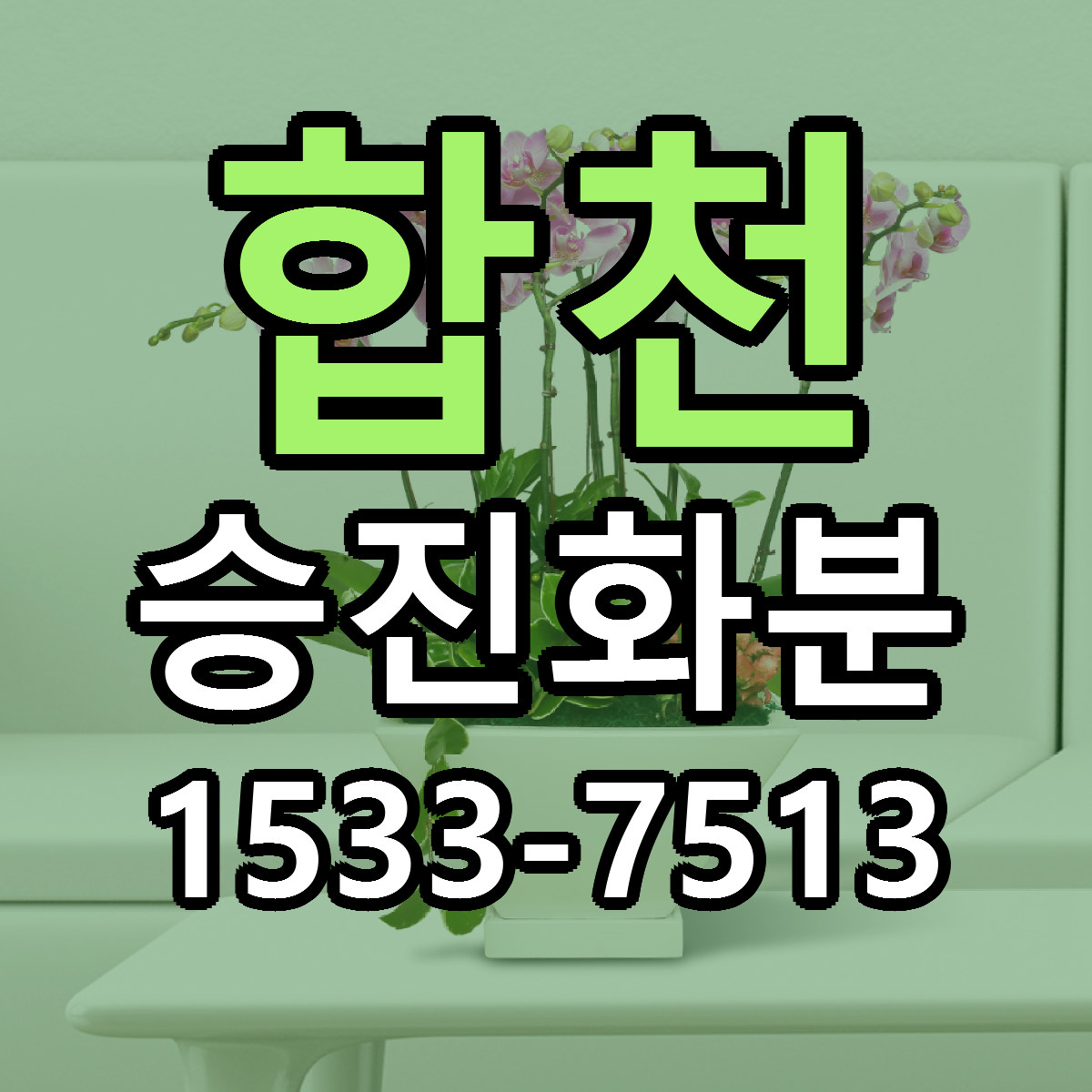 합천 승진화분 근처꽃집 당일배송 가격 안내