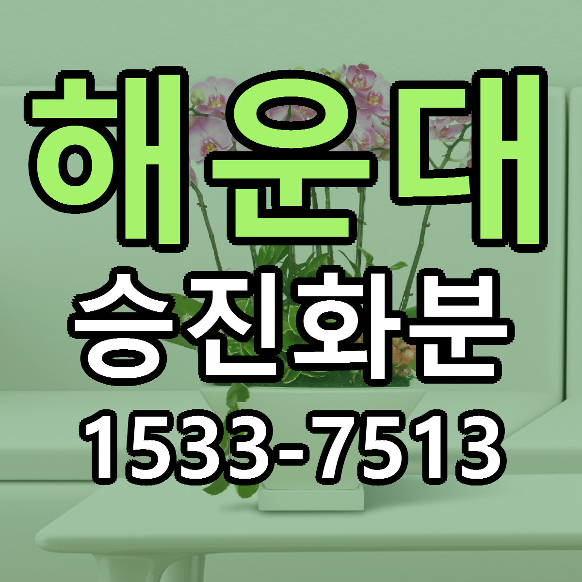 해운대 승진화분 빠른배송 근처꽃집 가격 비교