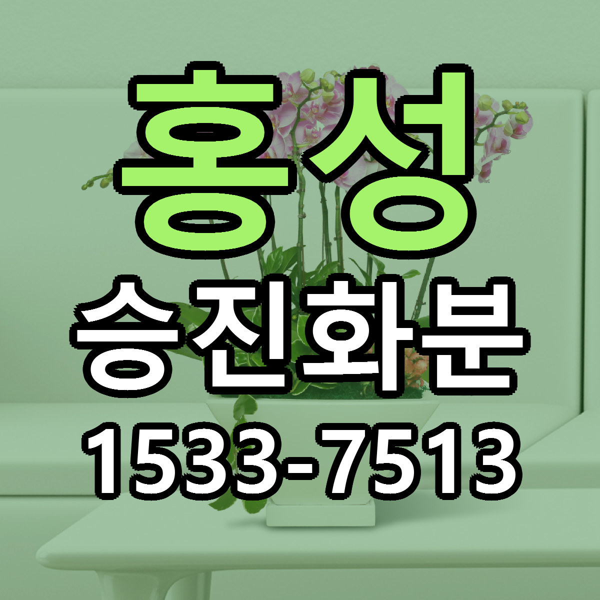 홍성 승진화분 싼곳 빠른배송 리본문구 무료