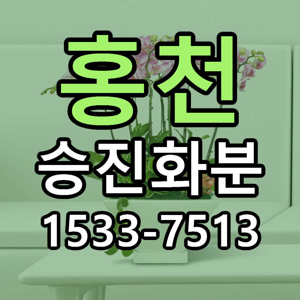 홍천 승진화분 당일배송 리본문구 싼곳 찾기