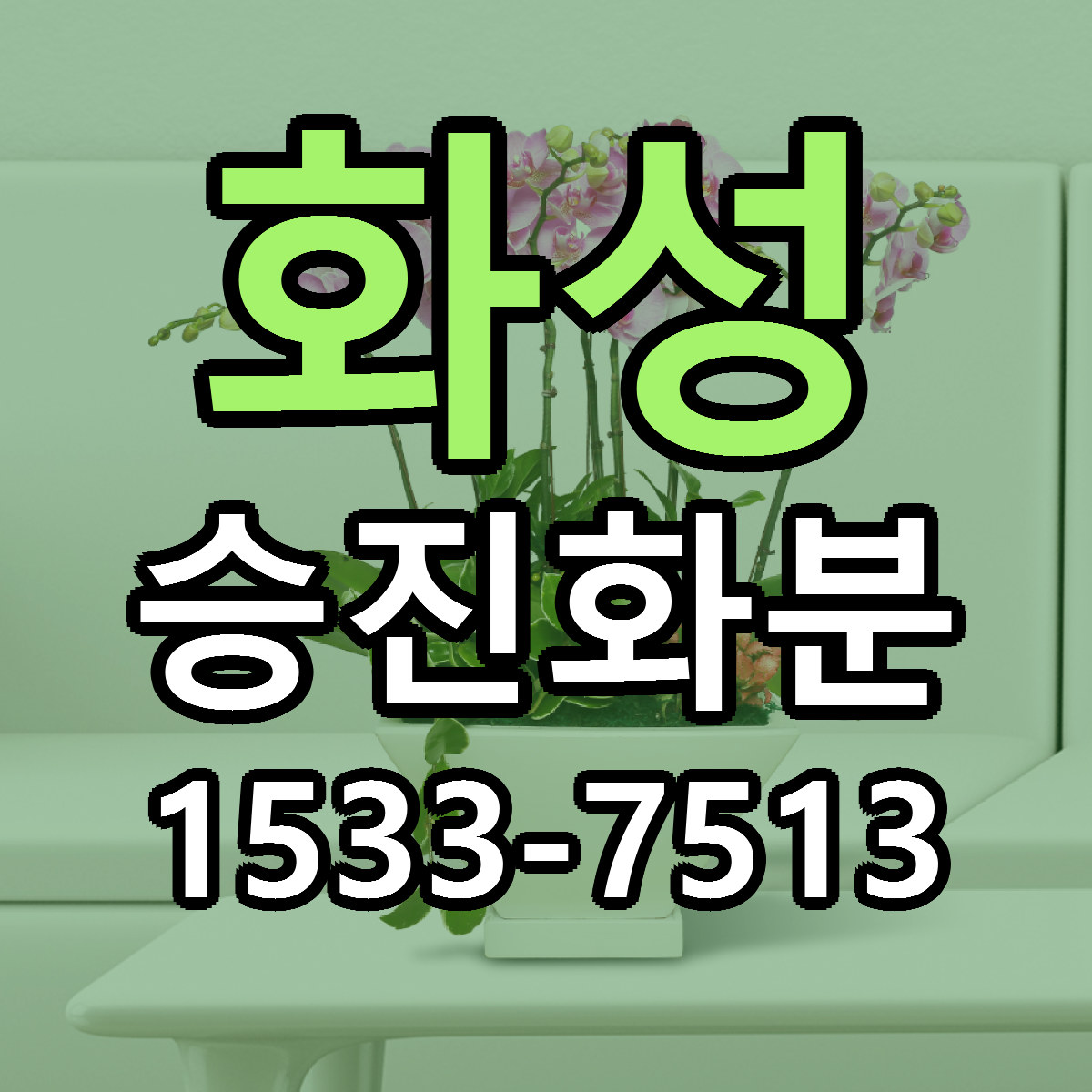 화성 승진화분 가격 착한 싼곳 당일배송 안내