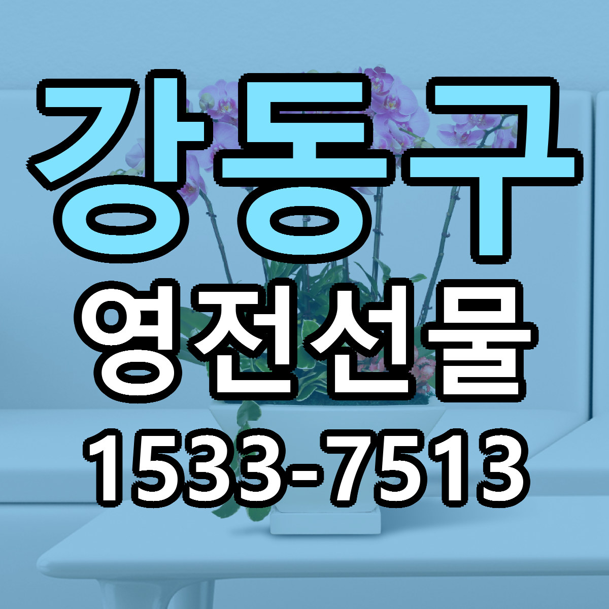 강동구 영전선물 빠른배송 싼곳 가격 문의