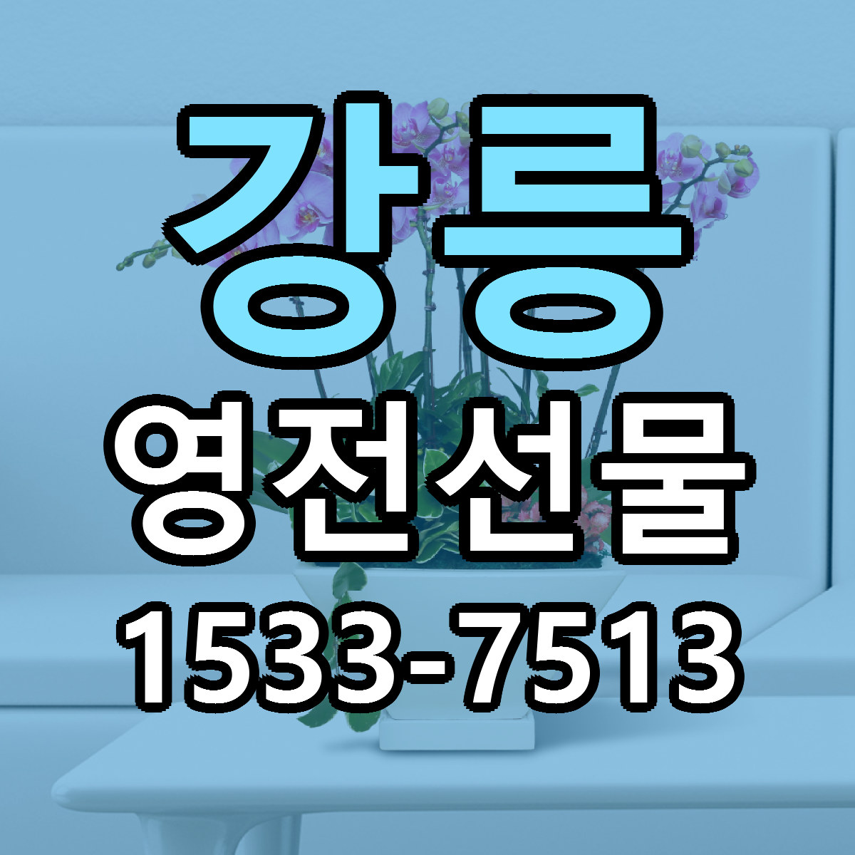 강릉 영전선물 빠른배송 싼곳 가격 문의