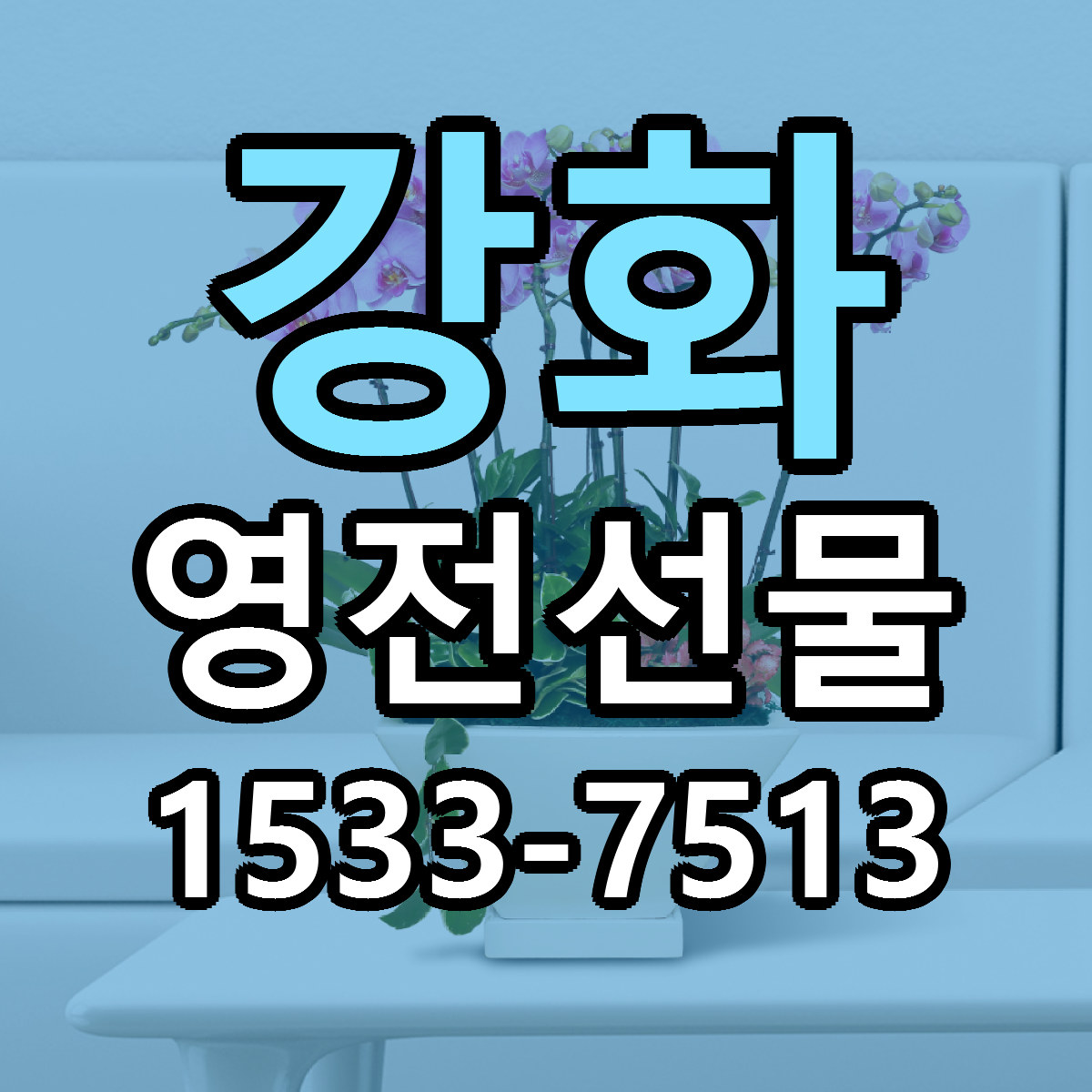 강화 영전선물 당일배송 빠른배송 싼곳 찾기