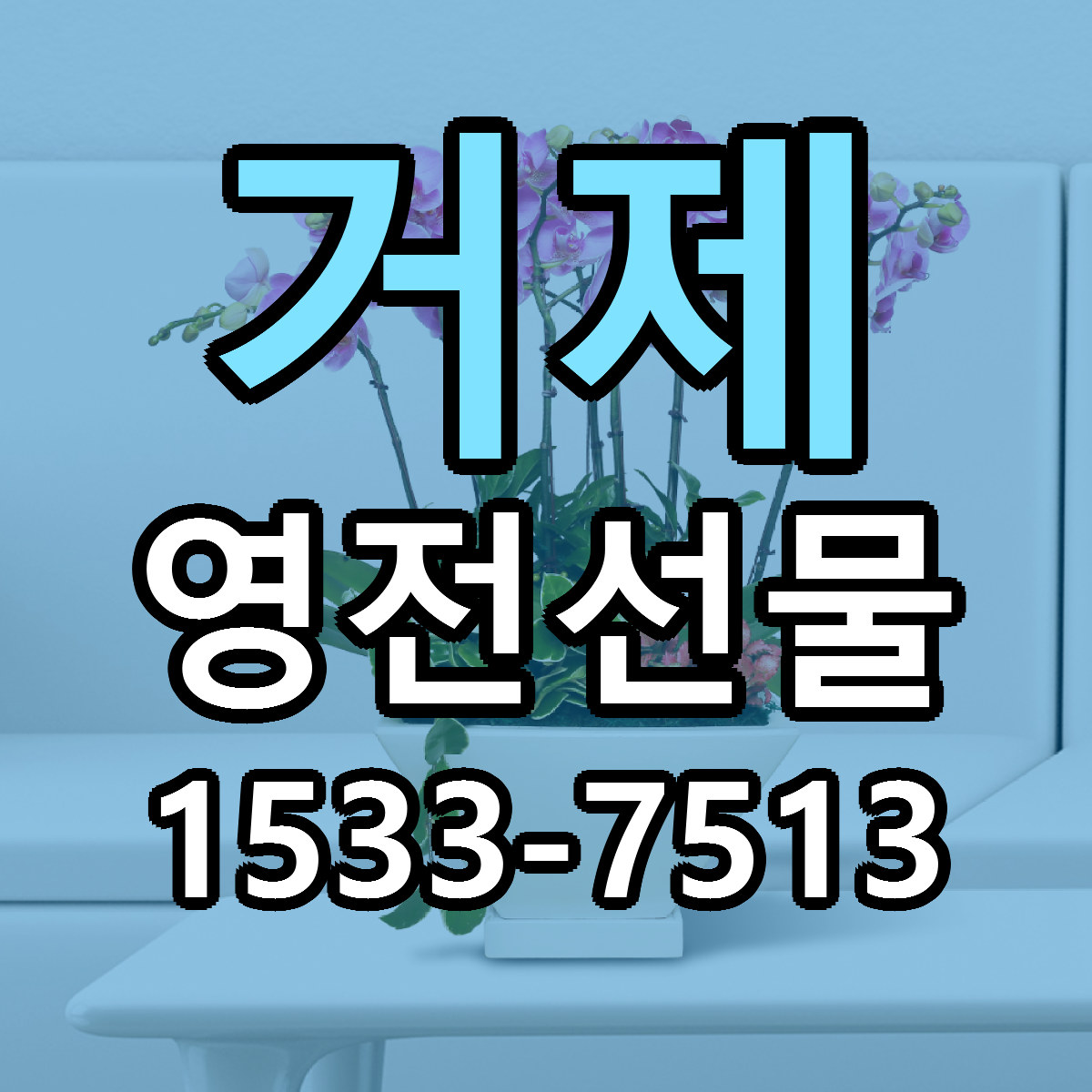 거제 영전선물 빠른배송 가격 저렴한곳 찾기