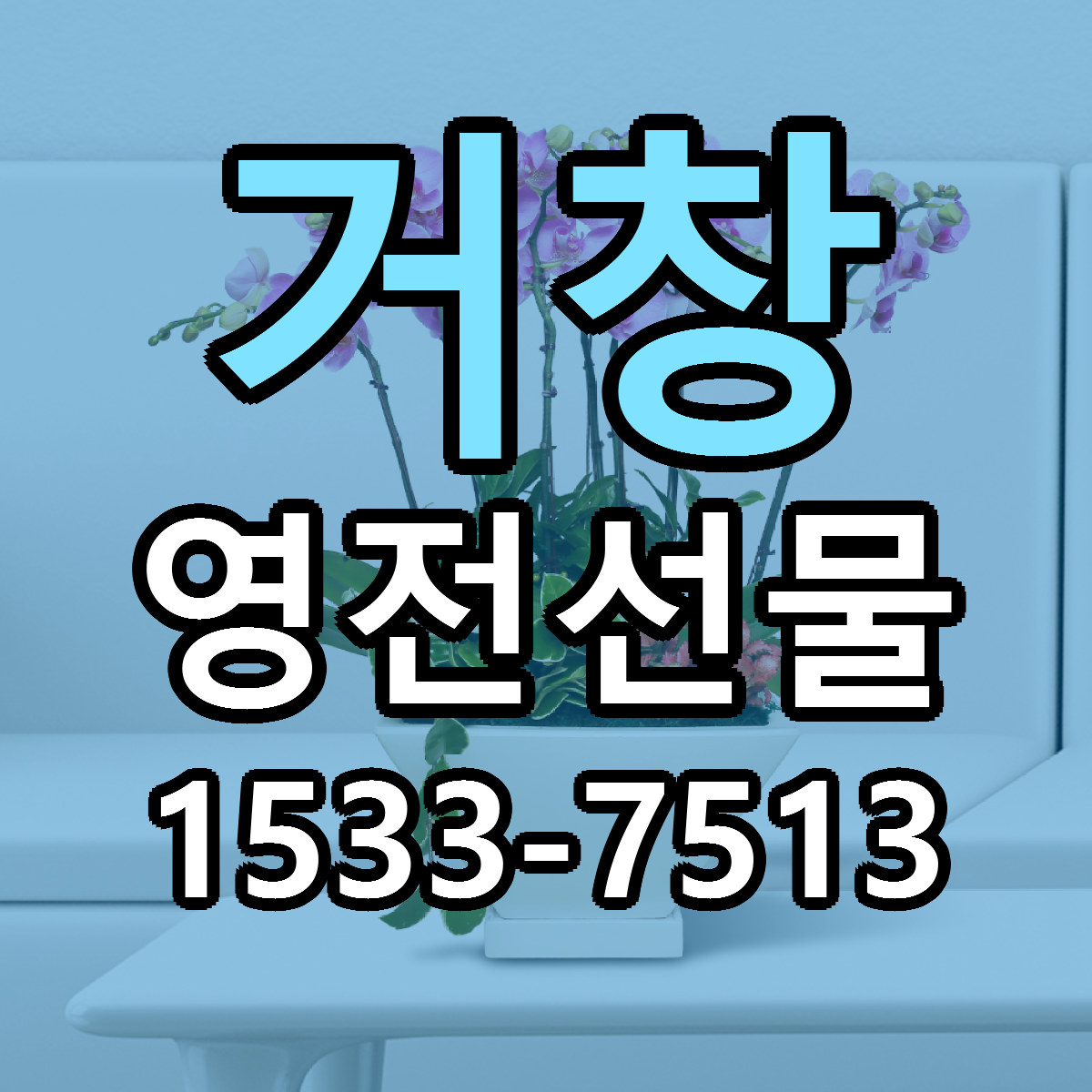 거창 영전선물 싼곳 당일배송 빠른배송 추천