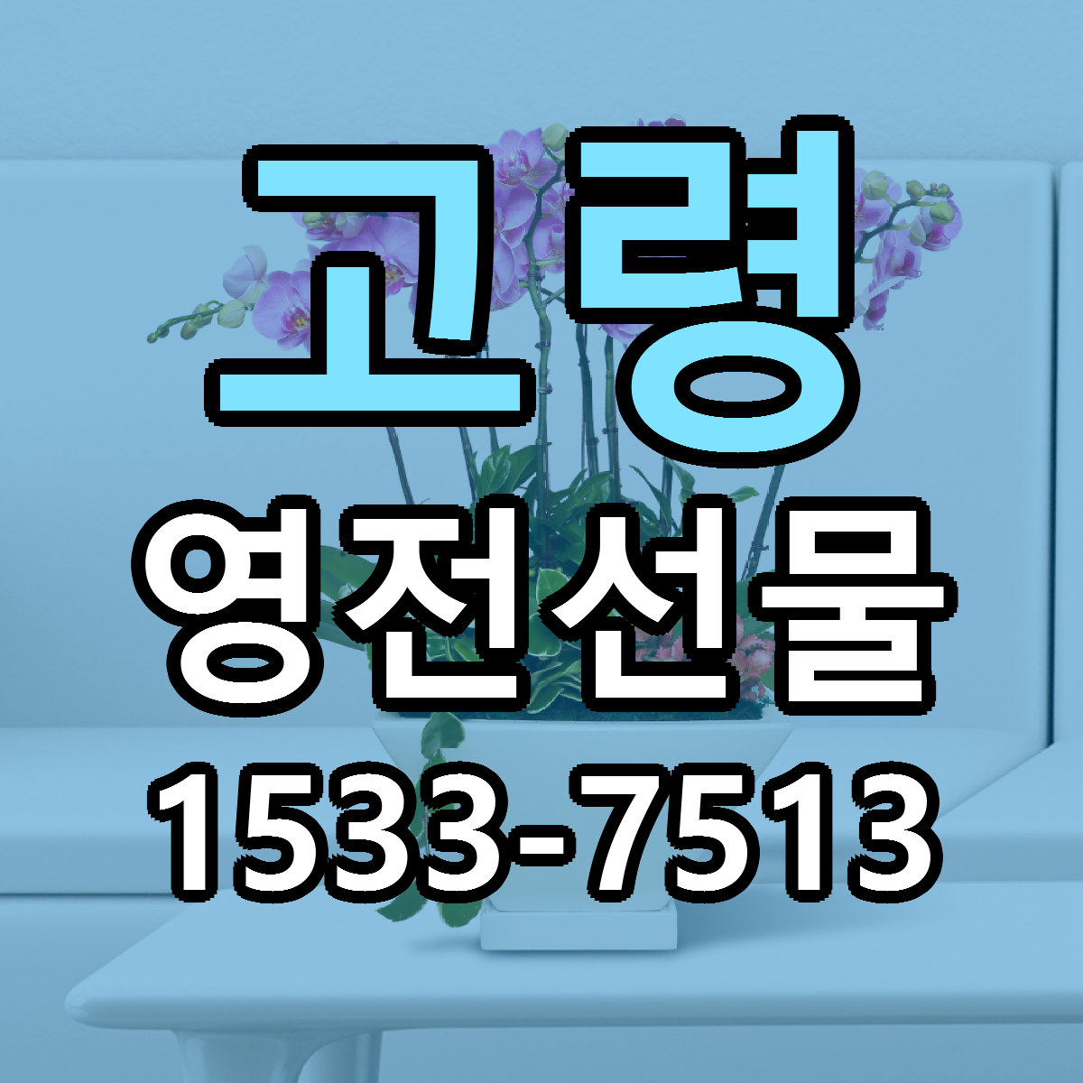 고령 영전선물 당일배송 리본문구 빠른배송 서비스
