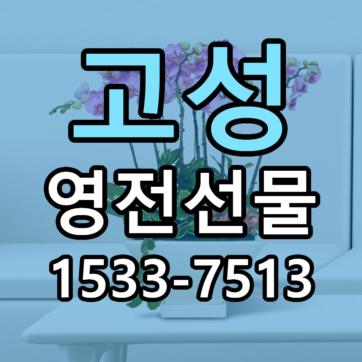 고성 영전선물 저렴한곳 당일배송 가격 만족