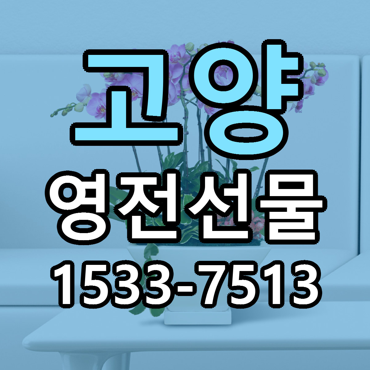 고양 영전선물 당일배송 싼곳 리본문구 안내