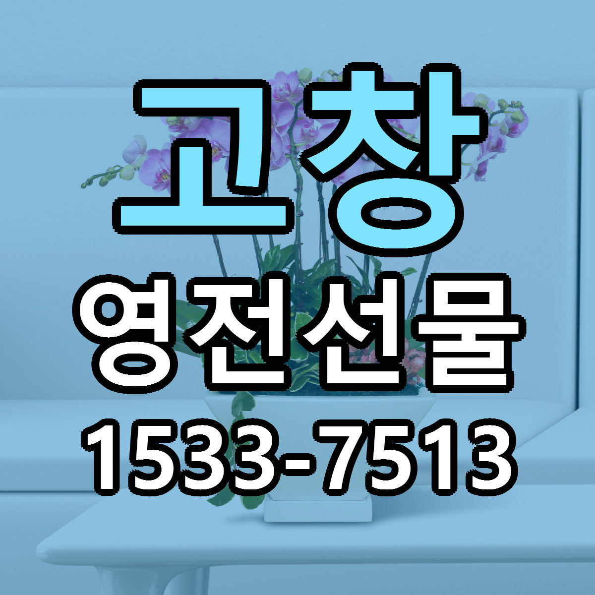 고창 영전선물 당일배송 저렴한곳 리본문구 추천