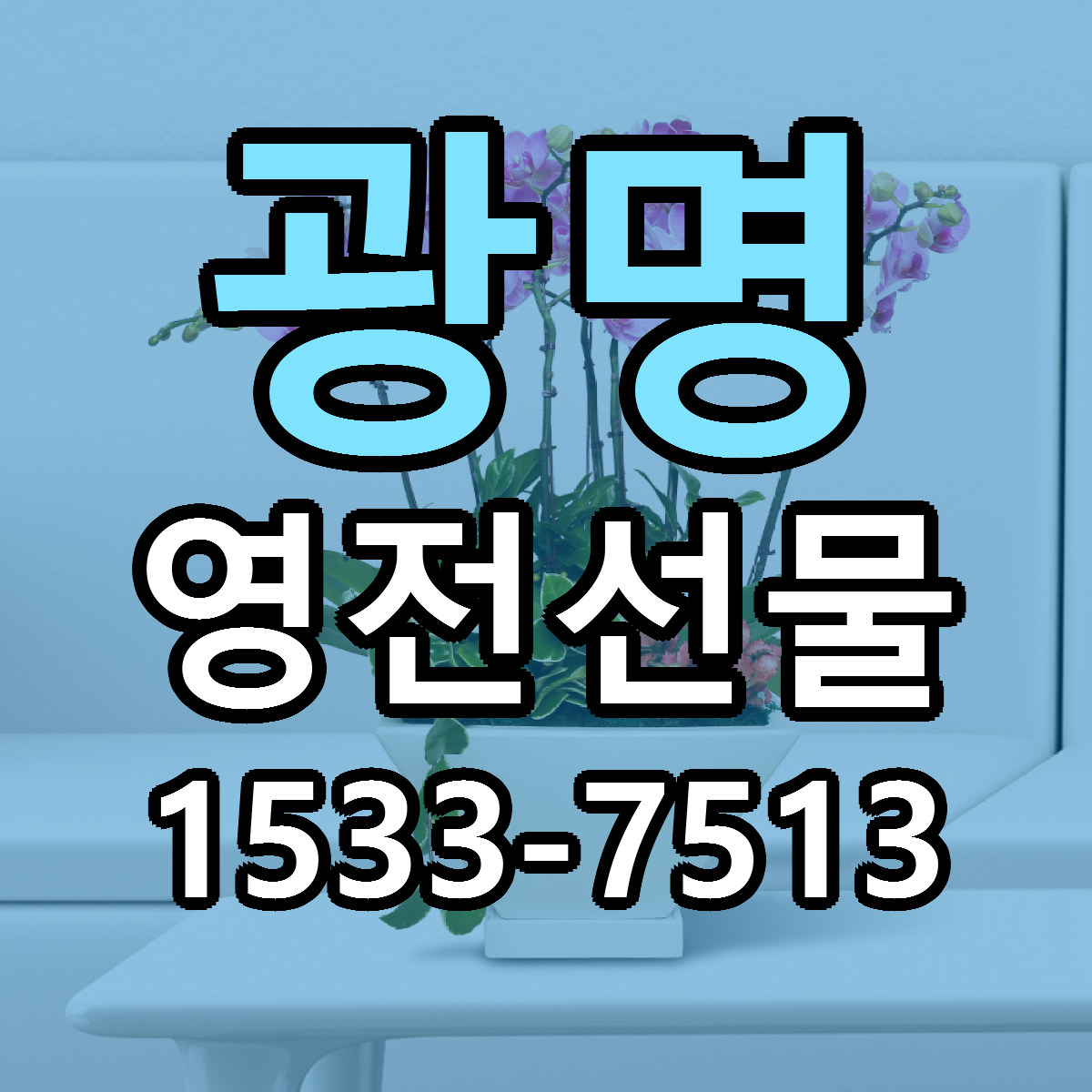광명 영전선물 빠른배송 리본문구 가격 알뜰 비교