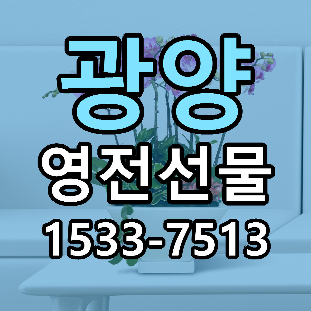광양 영전선물 빠른배송 싼곳 가격 문의
