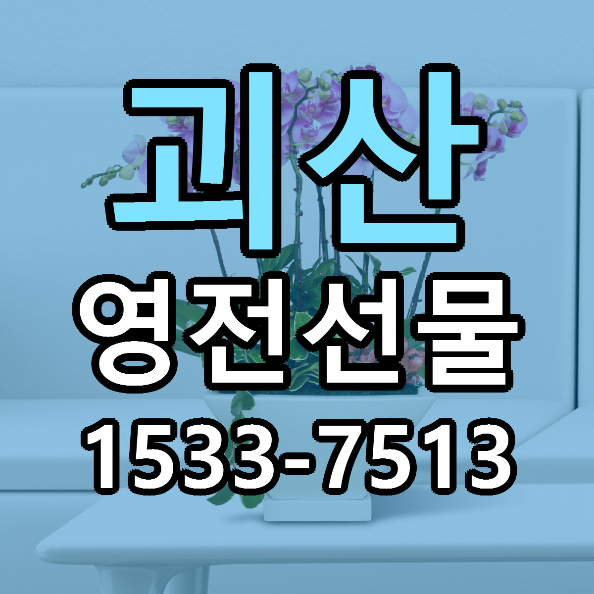 괴산 영전선물 싼곳 빠른배송 리본문구 무료