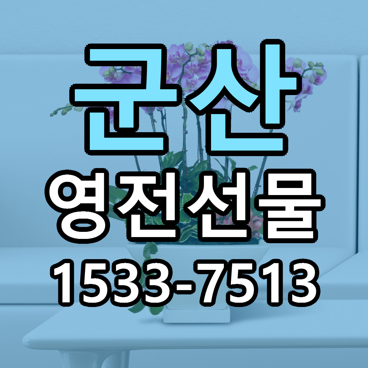 군산 영전선물 싼곳 빠른배송 리본문구 무료