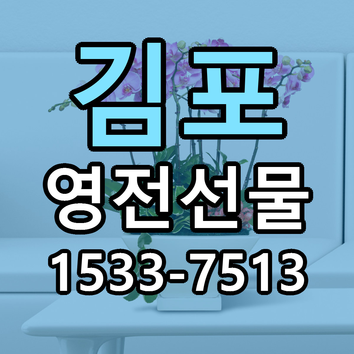 김포 영전선물 빠른배송 싼곳 가격 문의