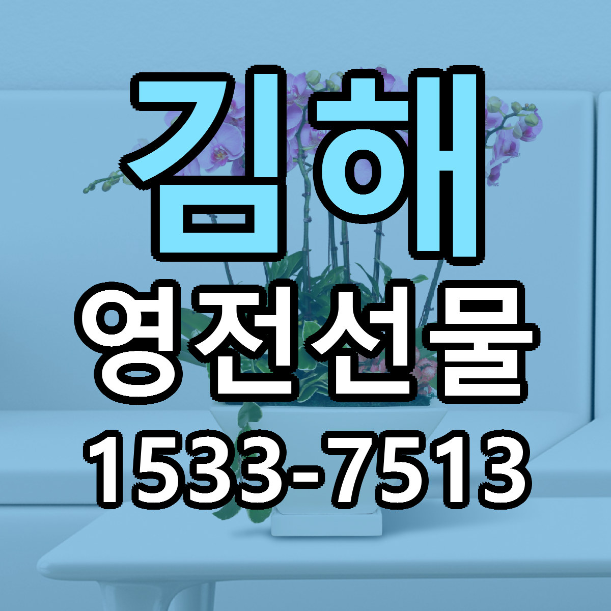 김해 영전선물 근처꽃집 가격 저렴한곳 안내
