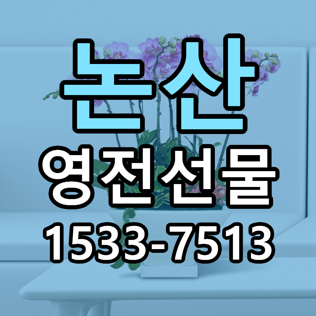 논산 영전선물 빠른배송 근처꽃집 가격 비교