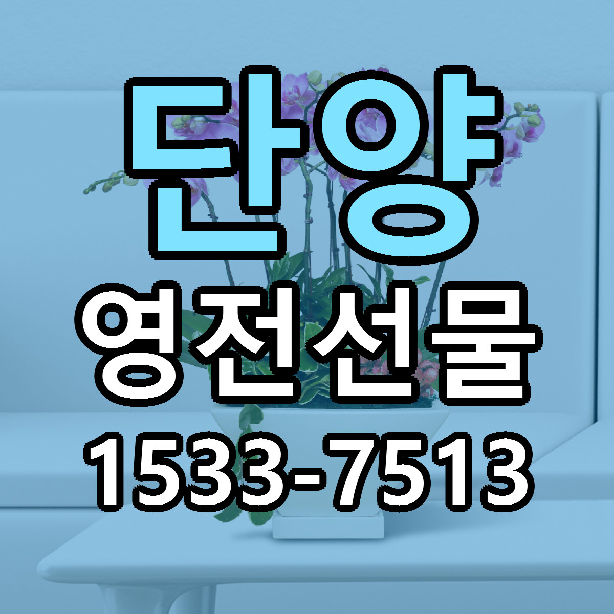 단양 영전선물 근처꽃집 당일배송 리본문구 서비스