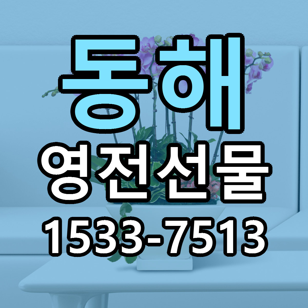 동해 영전선물 근처꽃집 당일배송 리본문구 서비스