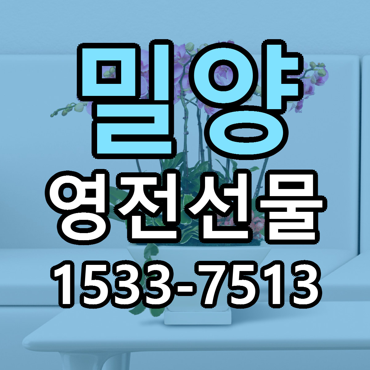 밀양 영전선물 저렴한곳 당일배송 가격 만족
