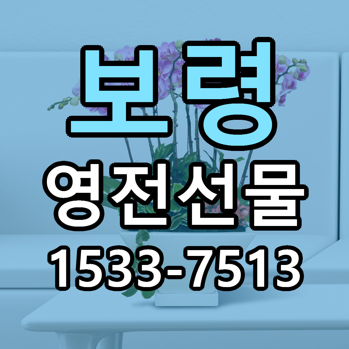 보령 영전선물 당일배송 근처꽃집 싼곳 비교