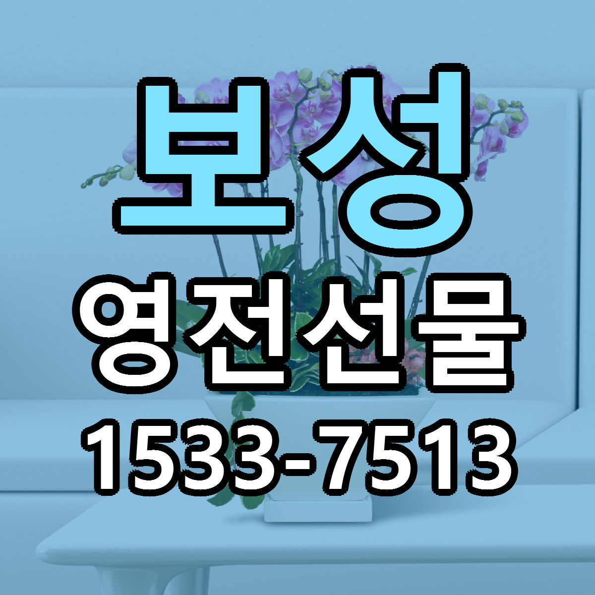보성 영전선물 당일배송 근처꽃집 싼곳 비교