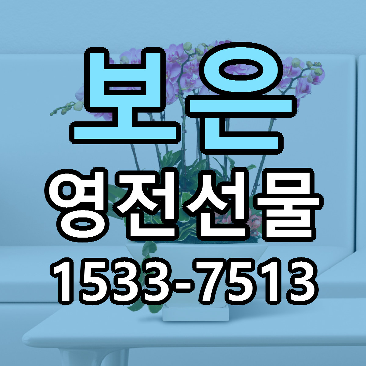 보은 영전선물 싼곳 빠른배송 리본문구 무료