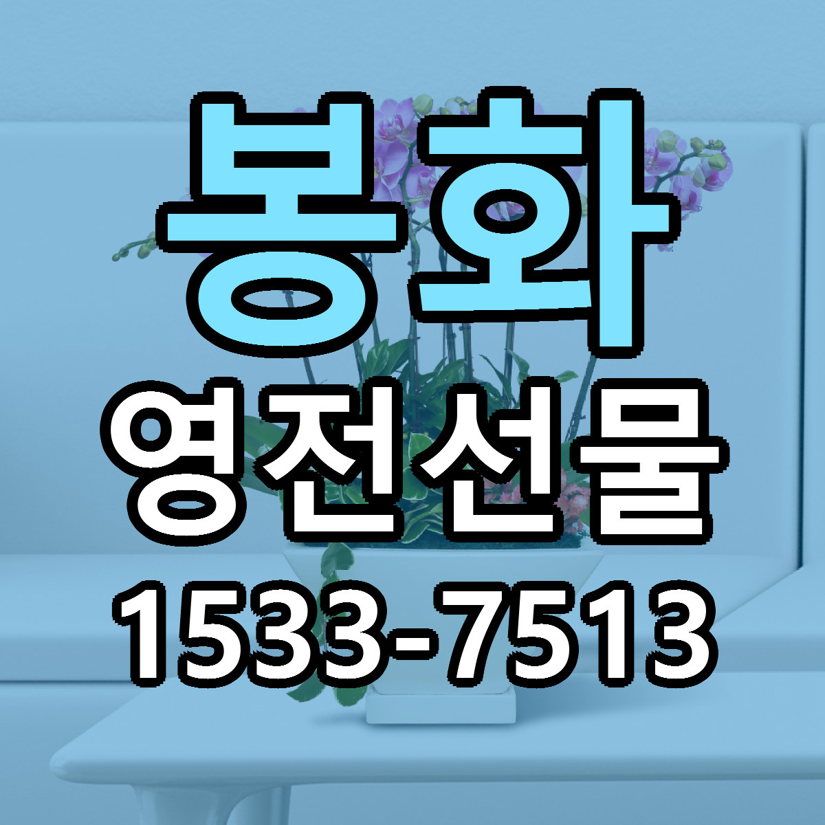 봉화 영전선물 당일배송 싼곳 리본문구 안내