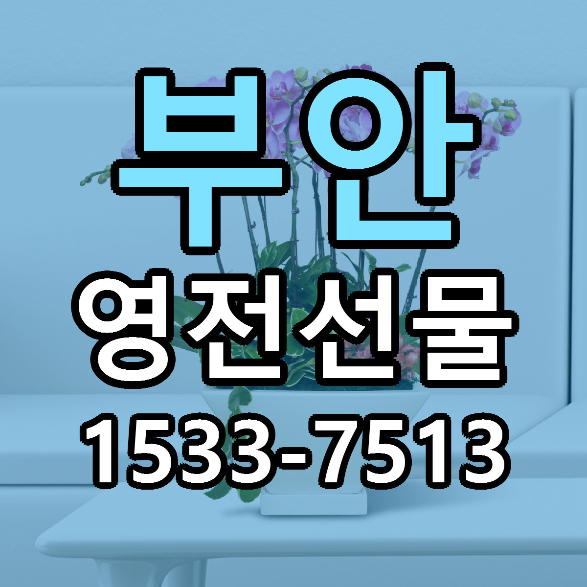 부안 영전선물 빠른배송 가격 저렴한곳 찾기