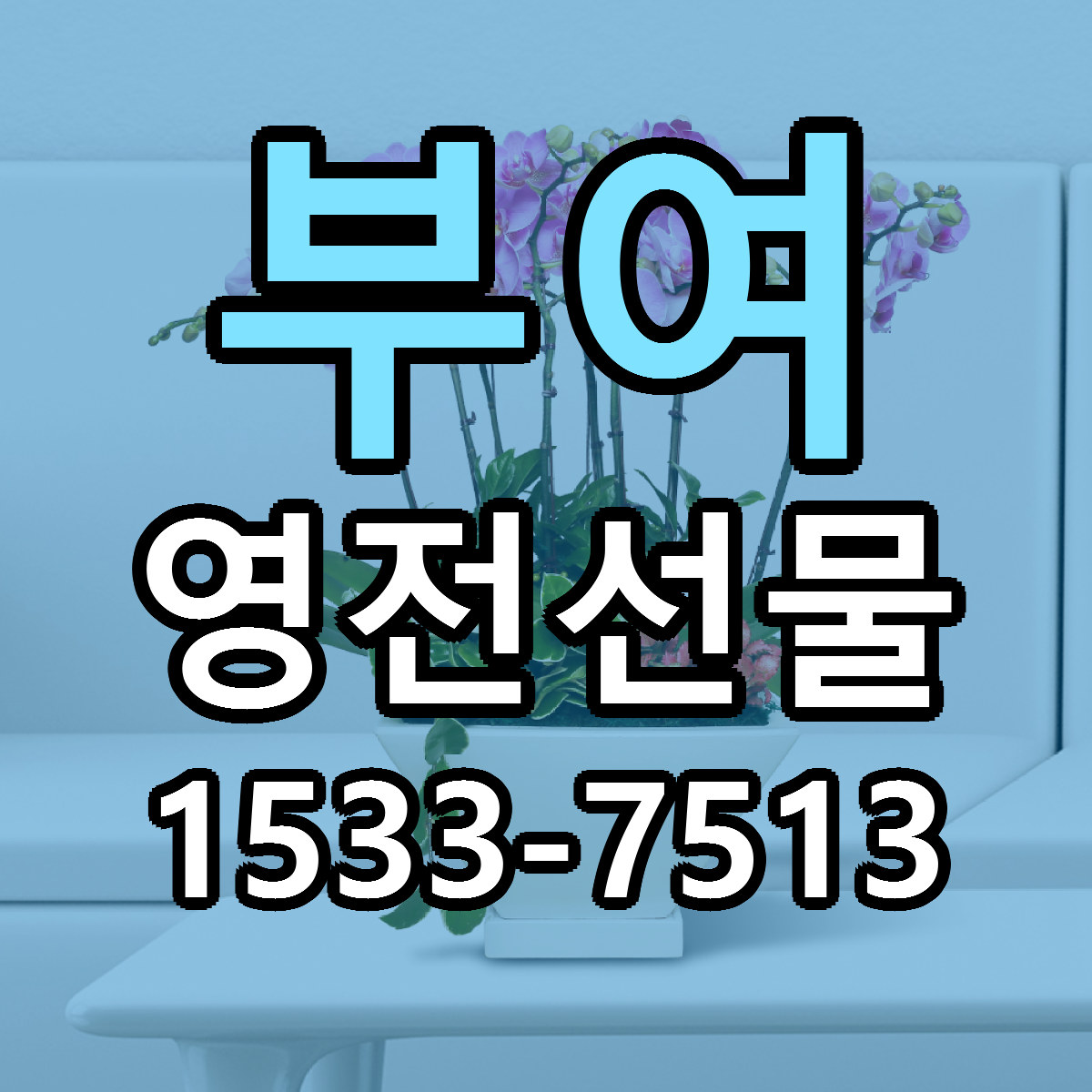 부여 영전선물 빠른배송 근처꽃집 가격 비교