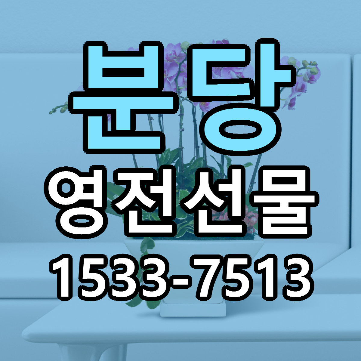 분당 영전선물 당일배송 저렴한곳 리본문구 추천