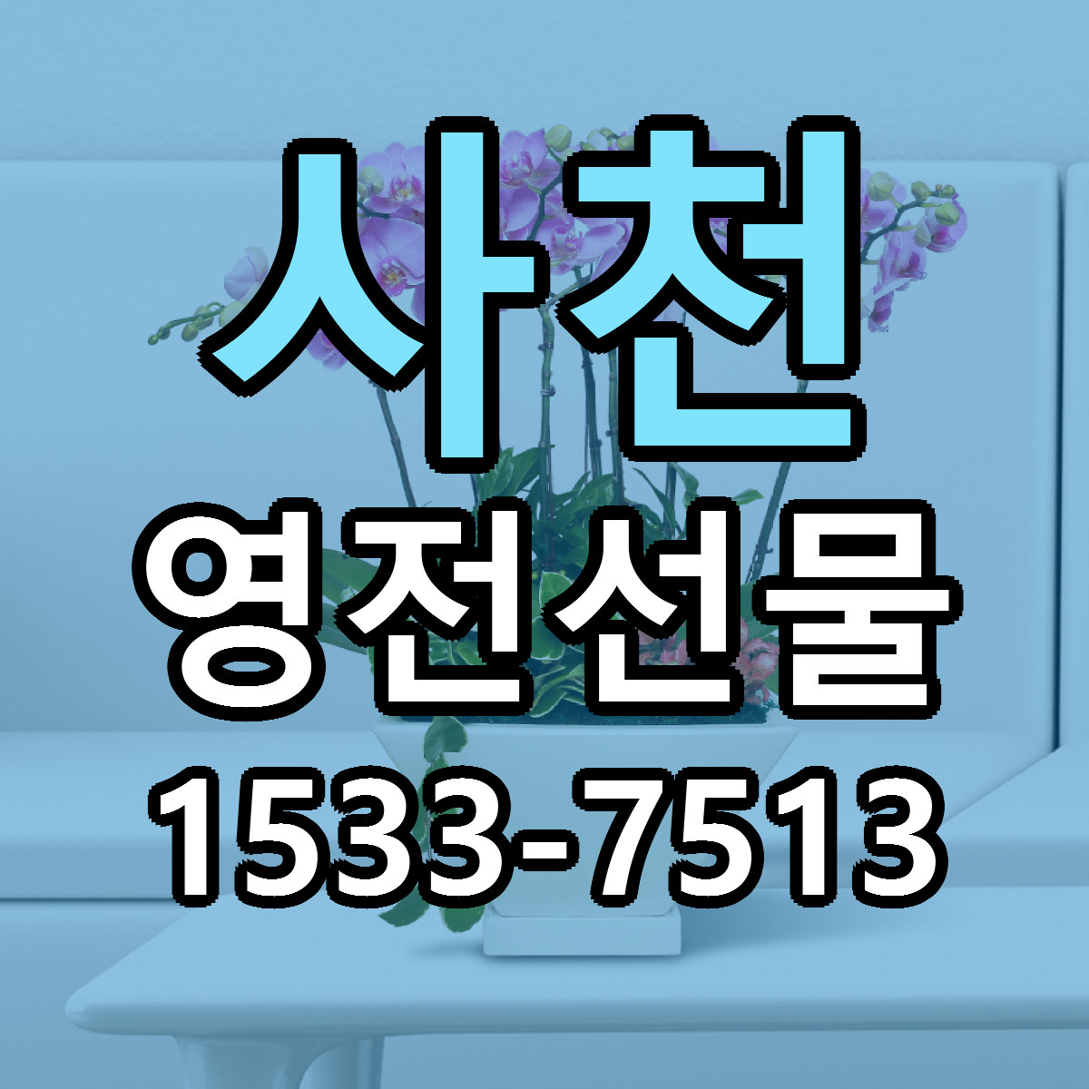사천 영전선물 빠른배송 리본문구 가격 알뜰 비교