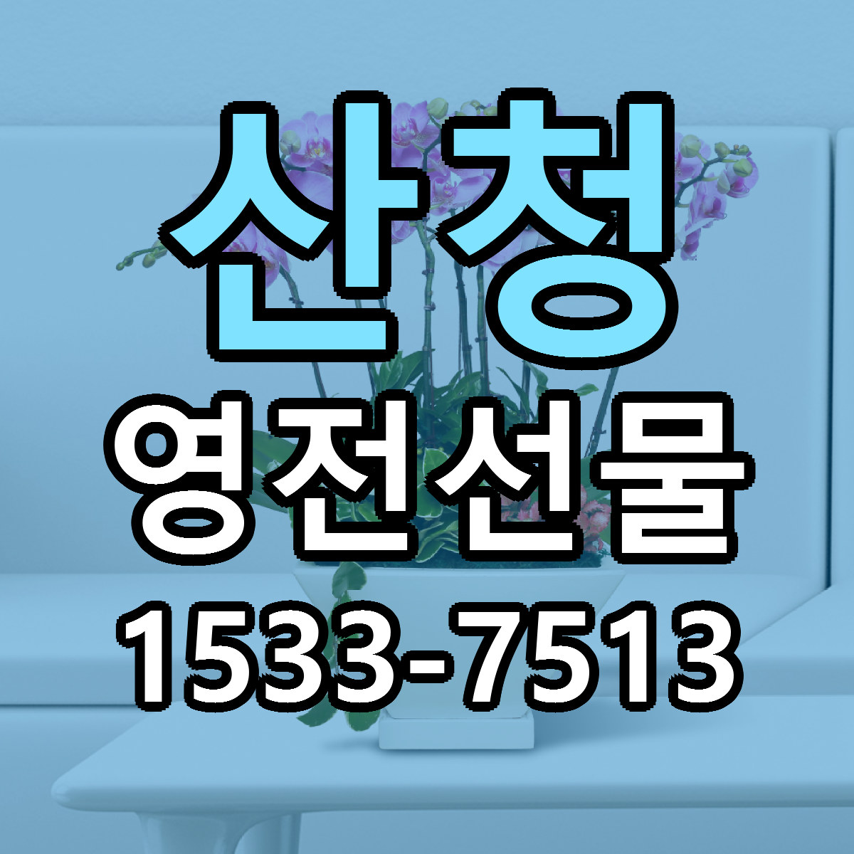 산청 영전선물 저렴한곳 당일배송 근처꽃집 추천
