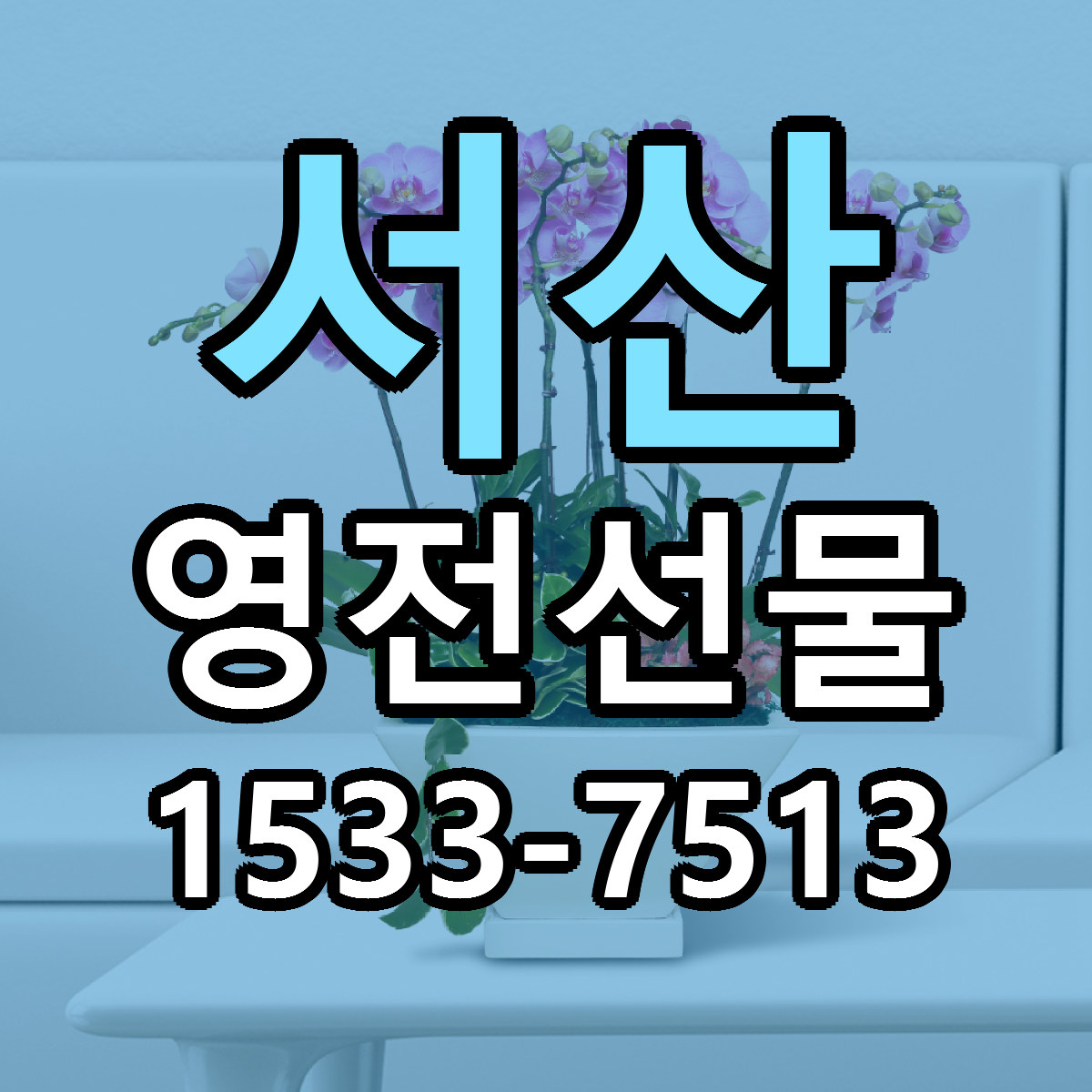 서산 영전선물 빠른배송 리본문구 가격 알뜰 비교